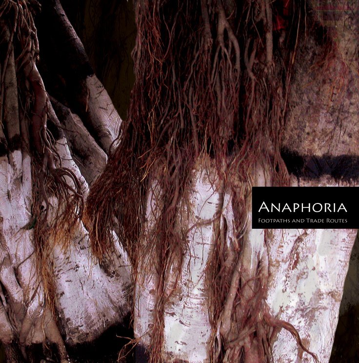 Anaphoria cover - Kraig Grady